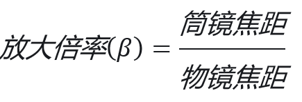 晶圆缺陷检测